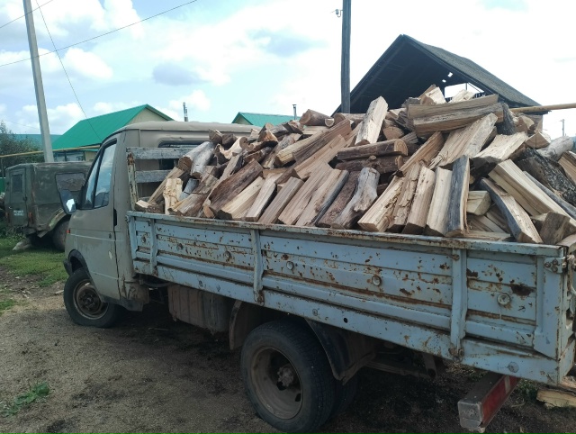 Продам дрова Ильма , Берёза 89174760532 .