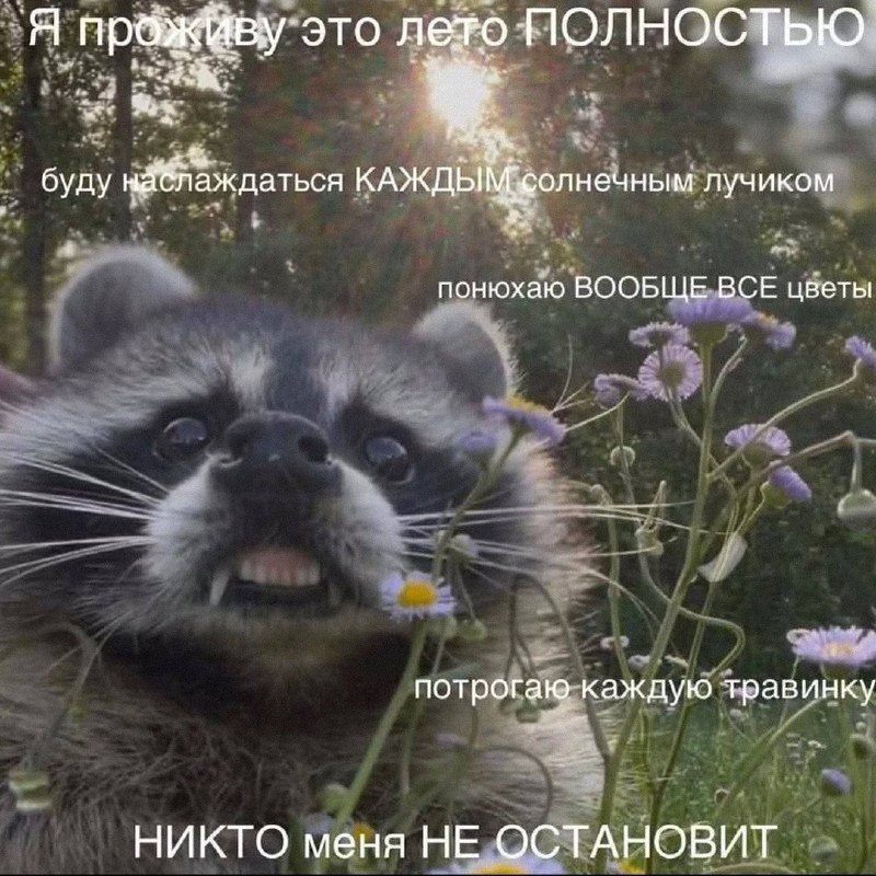 Утренняя подборочка