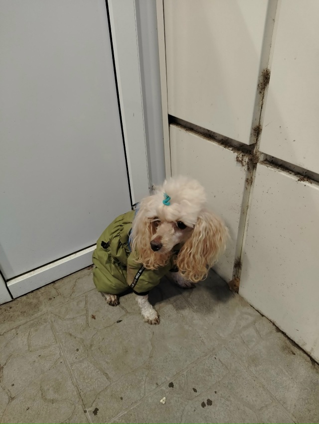 Чья потеряшка на геологов у монетки .. Рядом со Сбербан?...