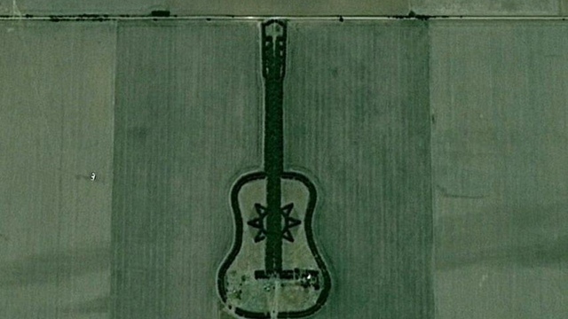 Педро Мартин Урета посадил огромную композицию в конц?...