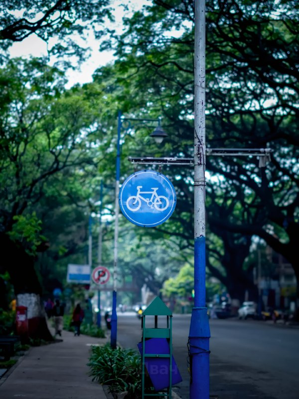 Коротко о том, почему вокруг так мало нормальных дорог: ещё в 1976 году два брата из Индии построили