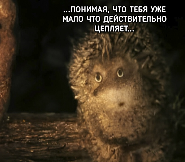 Ситуация, которая случается с каждым из нас