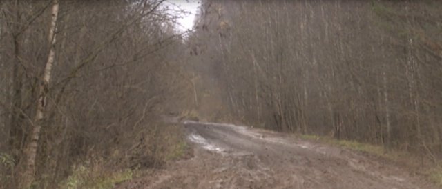 Подписчик ругается: