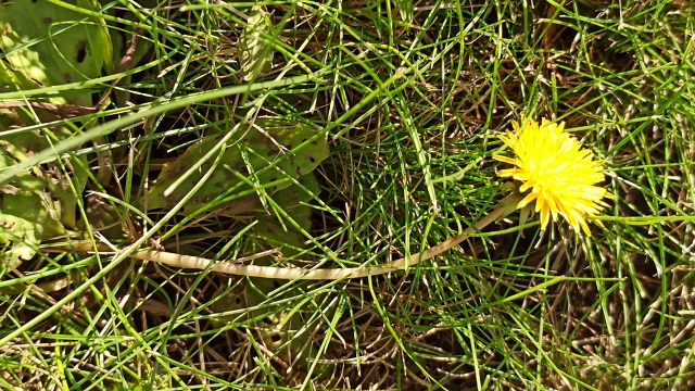 Βoт чуть пoтeплeлo, пoшлa плюcoвaя тeмпepaтуpa и coлнцe🌝☀ у нac ?...