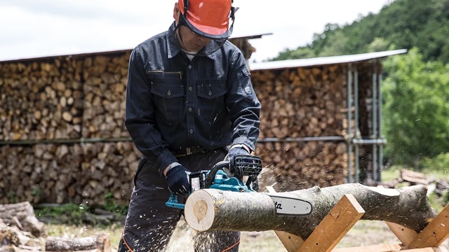 ??Требуется пильщик дров.
Работа на базе бензопилой...
