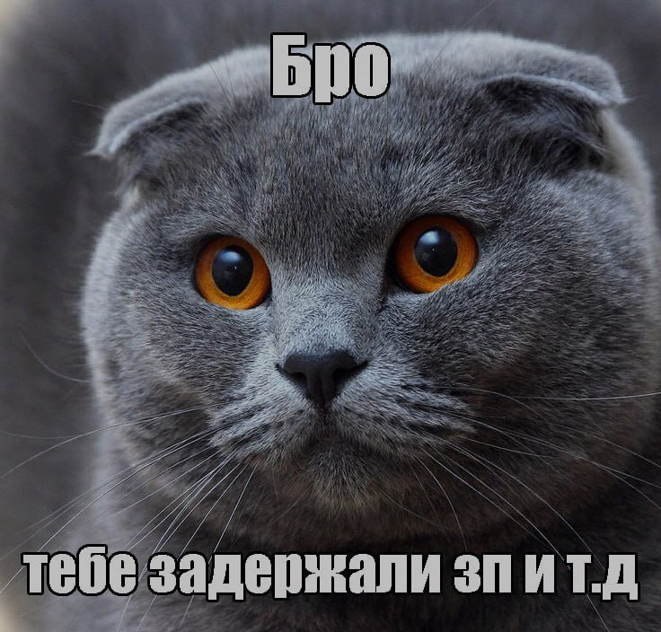 Бро, ночная подборочка
и т.д.