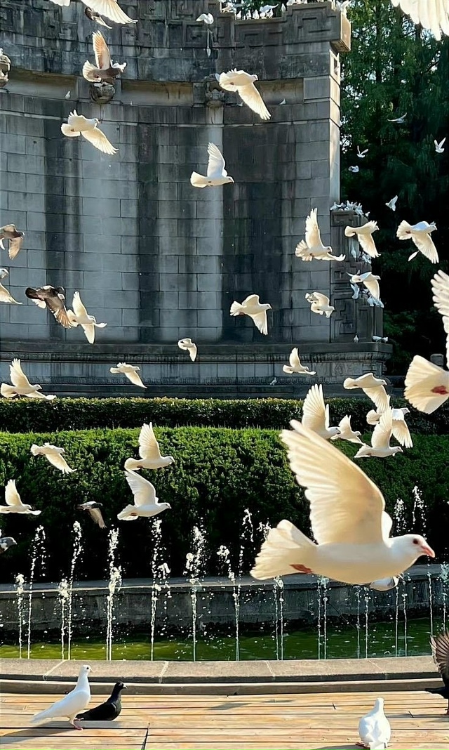 Солнечный свет и цветы делают меня счастливее.