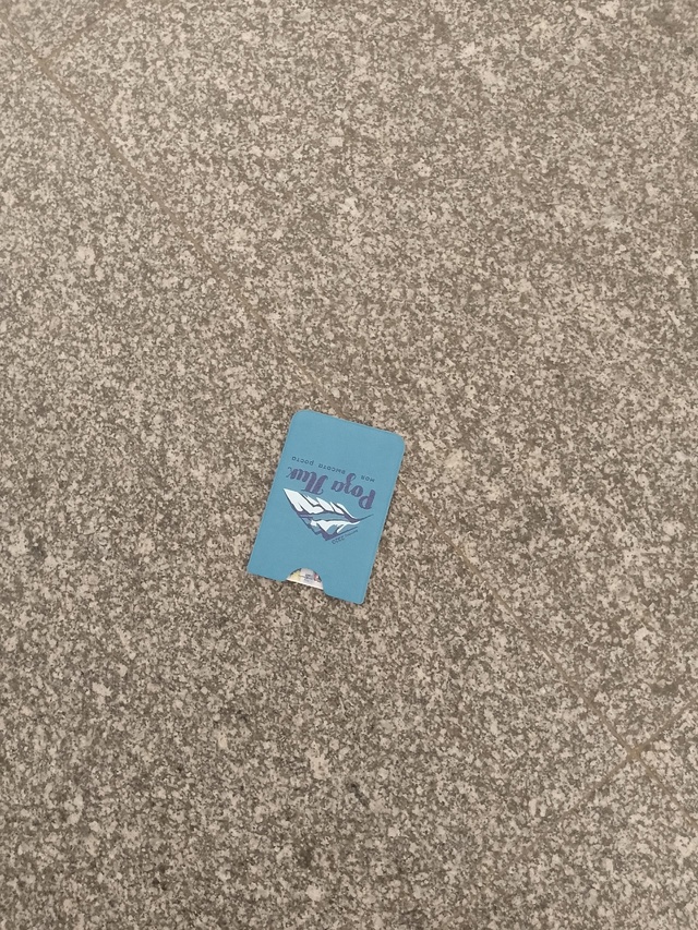 Найден подорожник
11:10
Станция метро Нарвская, платформ...