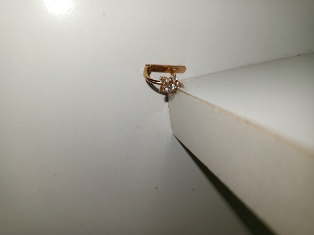 Найдена серьга, отдам по предъявлении второй. В л/с.