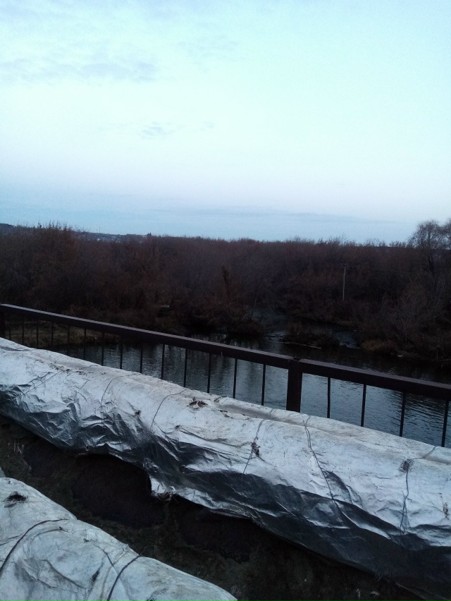 Немного позитива в ленту.На снимках-октябрь 2025 года на ...