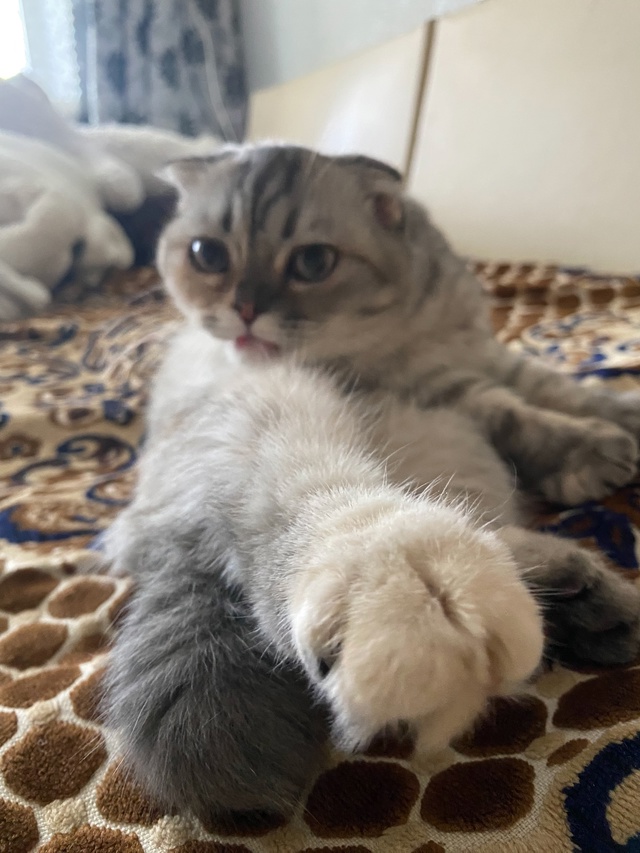 Посидеть подумать?
Помыться хорошо ?
И спать можно ...