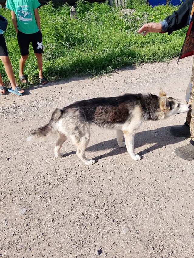 Вот такая девченочка бегает в мосино за ребятишками, н?...