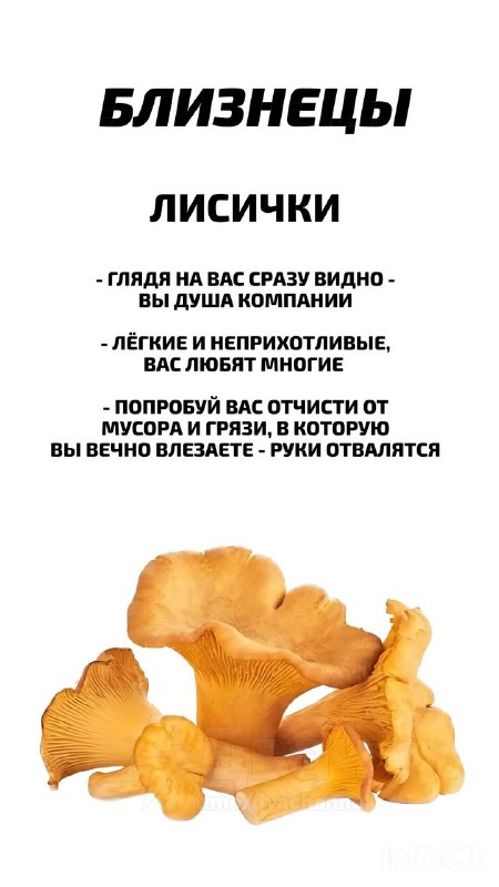 Российский астролог рассказал, какой ты гриб по знаку зодиака
Ищем себя