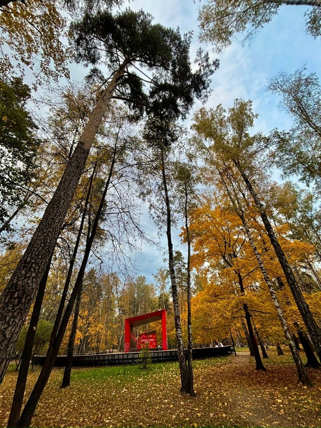 🍁 Красочная осень в Балашихе