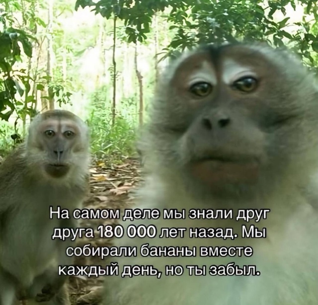 отмечай братишку