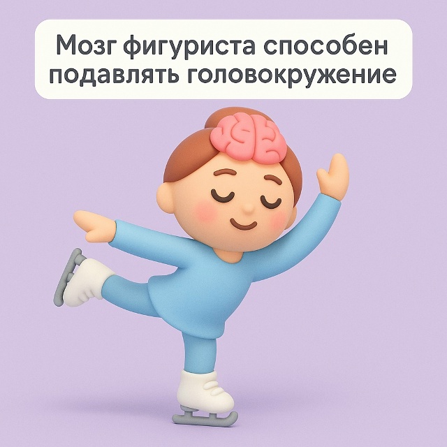 ⛸️ Баланс в голове
Мозг профессионального фигуриста ...