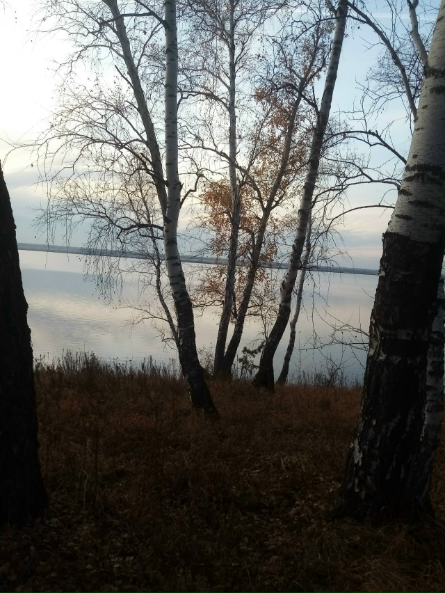 Немного позитива в ленту.На снимках-подборка № 3,прогу?...