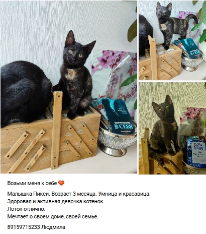 Пост добра. Распространите, пожалуйста.