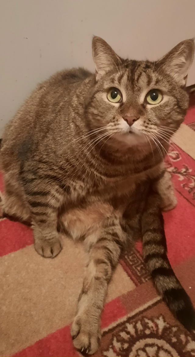 Почти шпагатовое...
Маша# ?