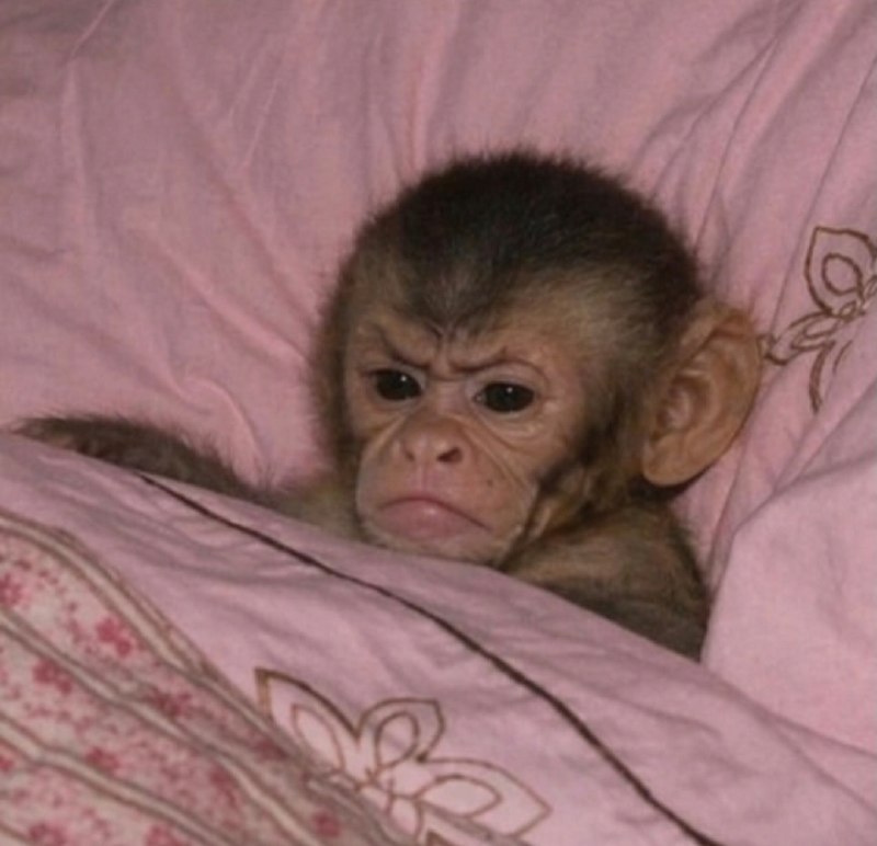 mood