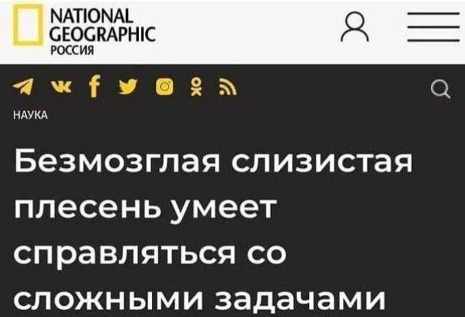 Типичная рекомендация с прошлой работы