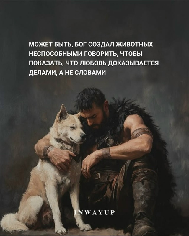 Сильные высказывания...