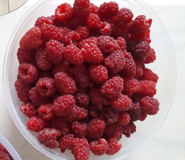 Продам малину 1 кг 500 р. , тел. 89619214073