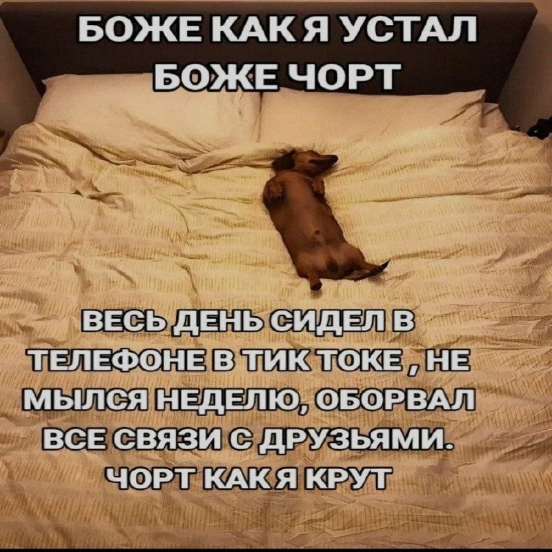 Ночная подборочка
Спать, режим