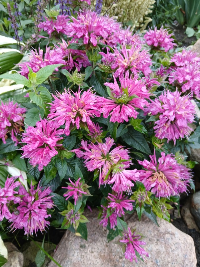 В наличии🌸