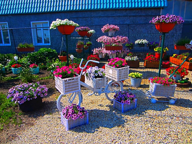 Вот такую красоту у себя обустроил подписчик 🌺