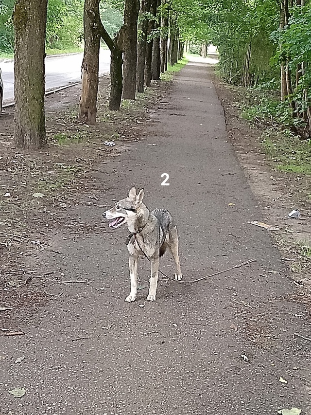 #ПотерялиНашлиПомогите
1 Где посмотреть и забрать бар...