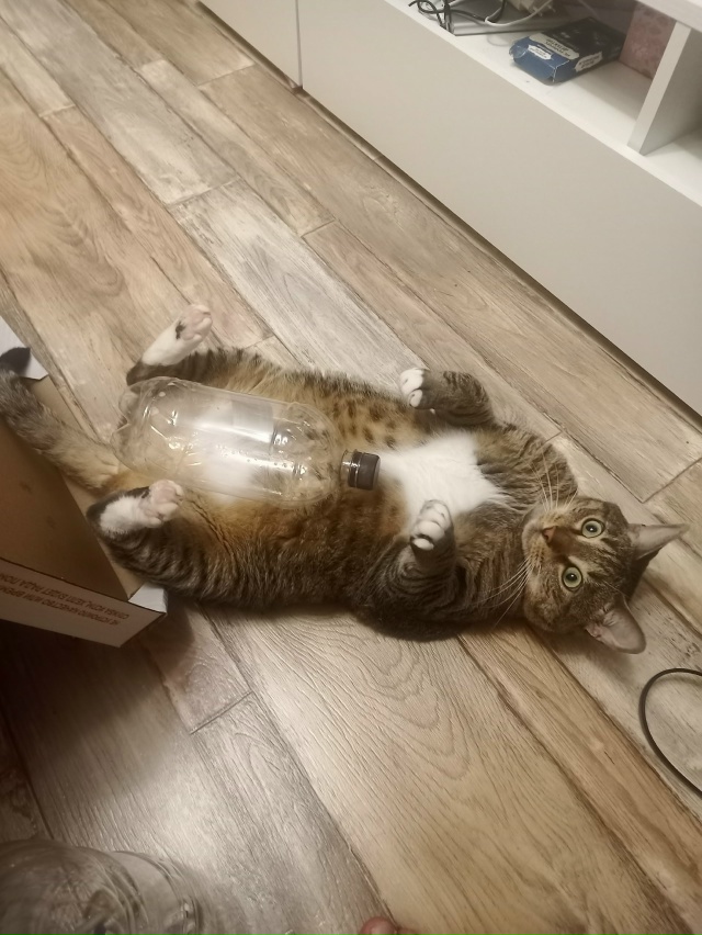 Игоша отдыхает после бутылочки молочка)