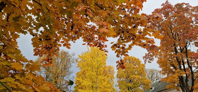 Улыбнись и подумай-какая красивая ОСЕНЬ
Сколько СВЕТА ...