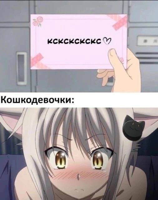 Как вам подборка?