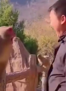 Да там явно не только он был в ужасе
