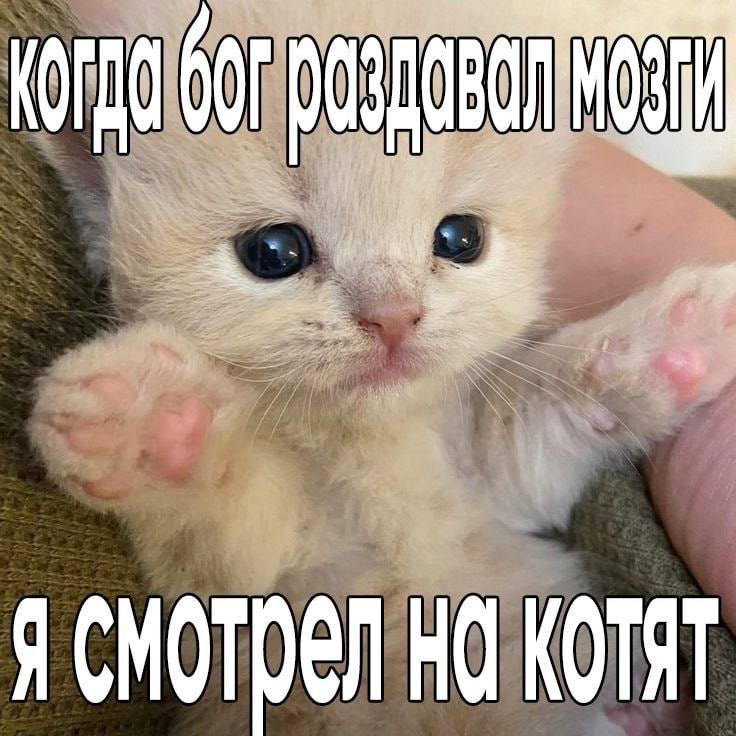 Утренняя подборочка