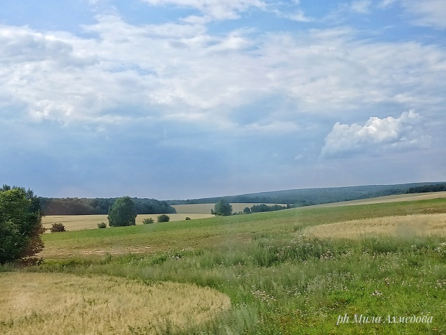 Бахиловские поля.🌻🌿Самарская лука.
г.о Жигулевск, С?...