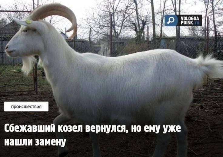чей бывший?