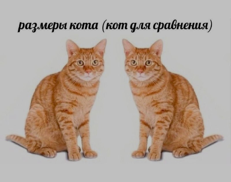 Ночная подборочка
Спать, режим
