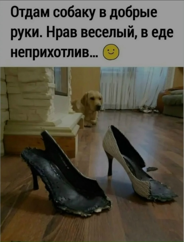 Когда видишь очередное объявление в ПМ. Анон