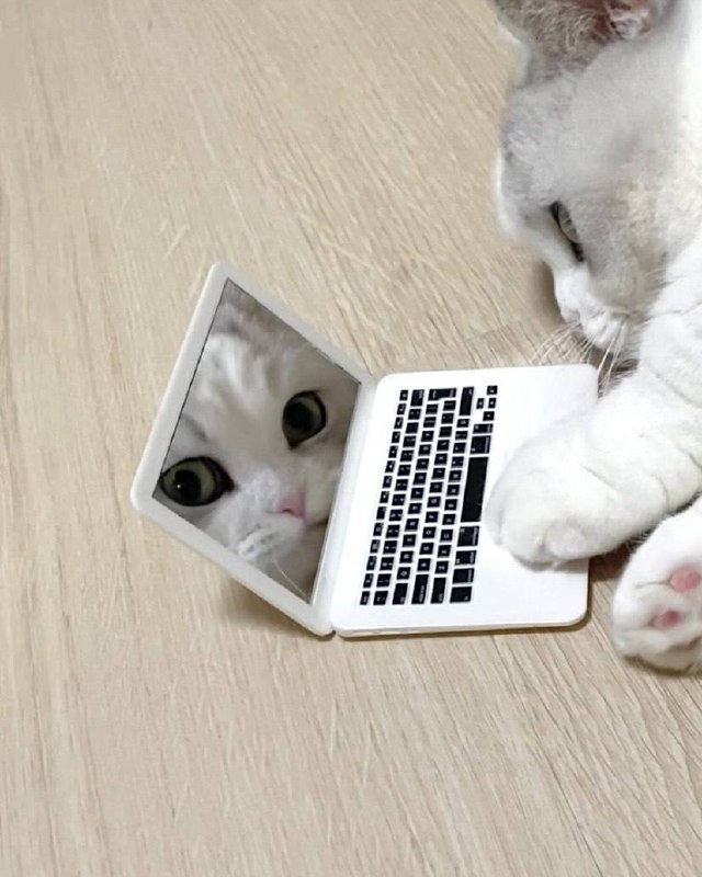 Рабкотаем изо всех сил