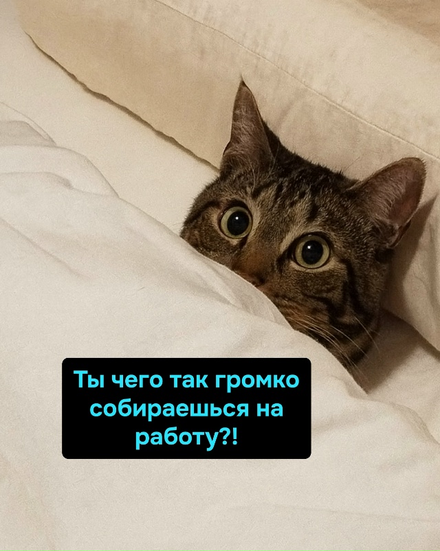 Работай, Наташа, работай — пока кто-то в этом доме стра?...