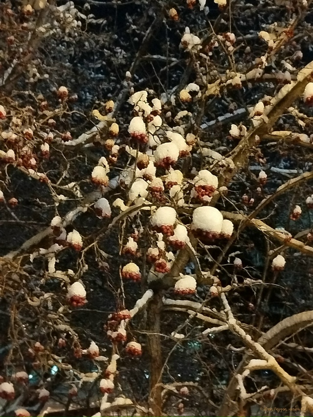 ✨ Дoбpoй нoчи, гopoд N!
Φoтo: Ингa Рaдугa