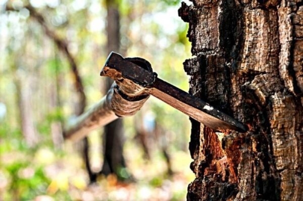 ‼️ Следственным отделом ОМВД России по Чайковскому г?...