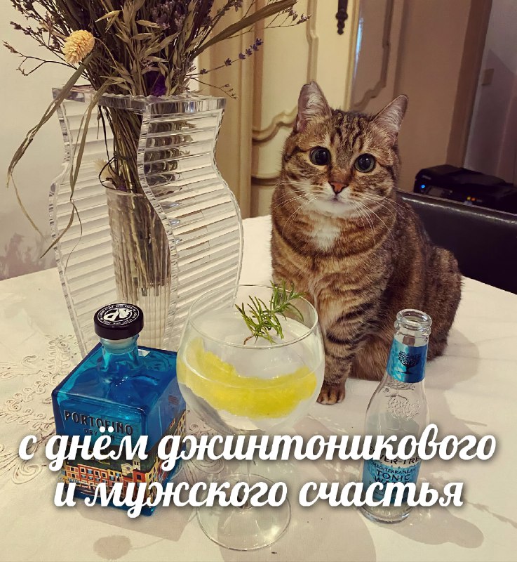 Сегодня отмечается День мужского счастья и Международный день джина с тоником
Это мы совмещаем
