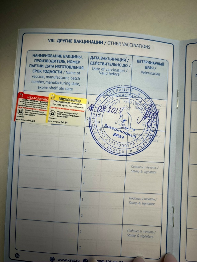 🐕Вот такая я красавица, не маленькая 19 кг)) 😉Буду хоро...