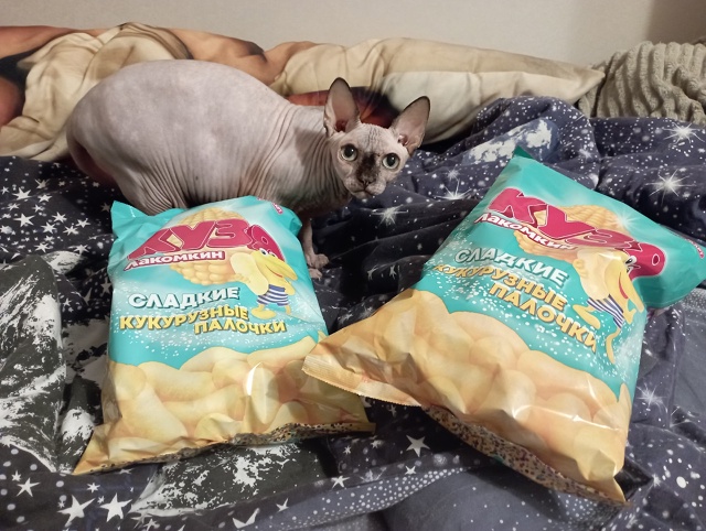 Вечно недовольная и вечно голодная кукурузная палочка...