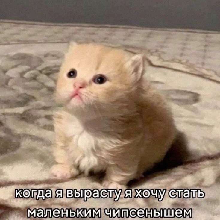 Ночная подборочка
Выходные, не спим