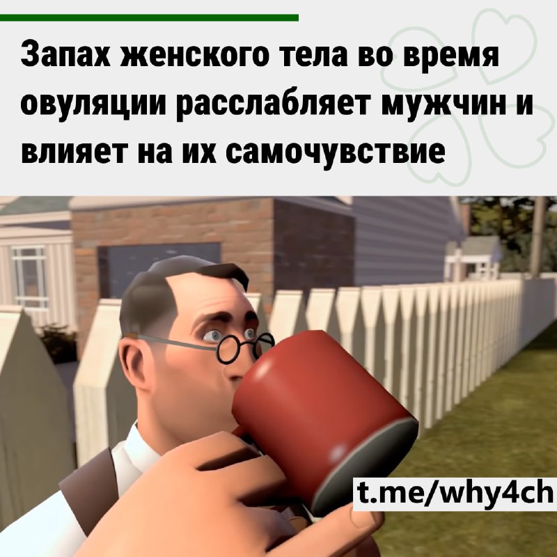 Арома-овуляция: Японские учёные выявили три компонента запаха тела, концентрация которых увеличивает