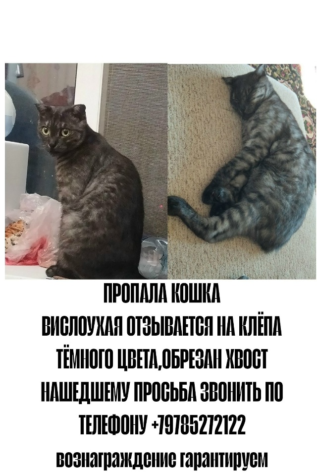 Пропала на улице Интернациональная 149